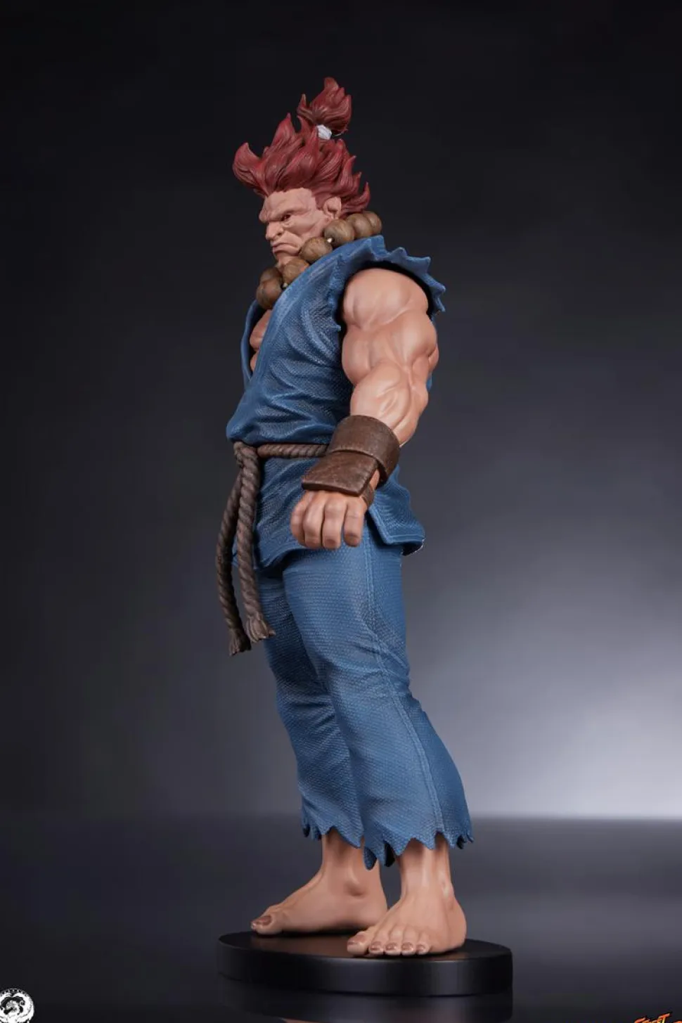 Street Fighter - Akuma & Dhalsim 1/10th Scale Statue (Set of 2)