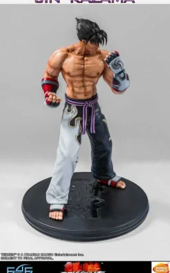 Tekken 5 - Jin Kazama 1/4 Scale Statue