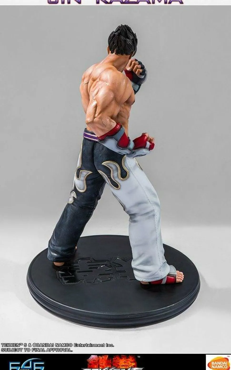 Tekken 5 - Jin Kazama 1/4 Scale Statue