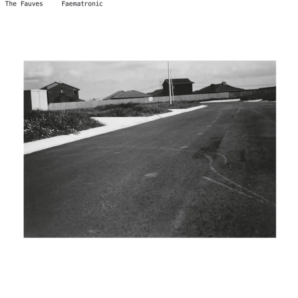 The Fauves - Faematronic LP Vinyl Record