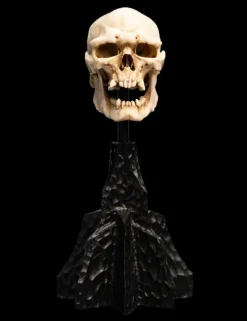 The Lord of the Rings - Skull of a Mordor Orc 6" Scaled Replica Statue