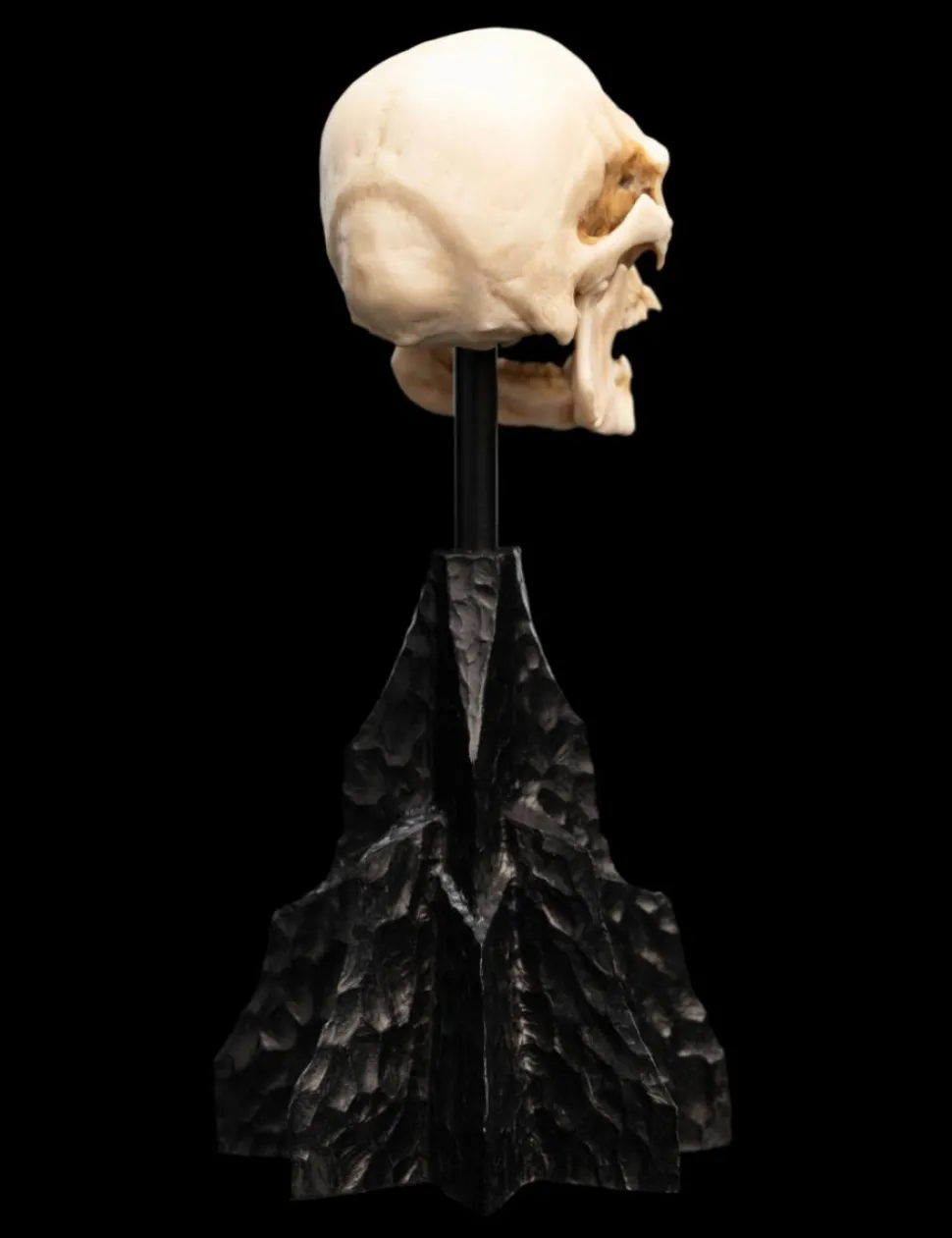 The Lord of the Rings - Skull of a Mordor Orc 6" Scaled Replica Statue