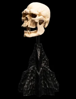The Lord of the Rings - Skull of a Mordor Orc 6