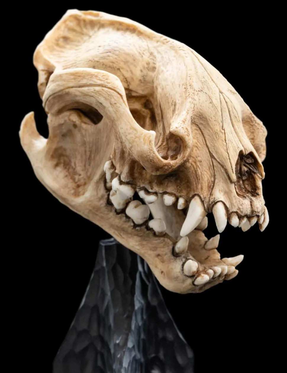The Lord of the Rings - Skull of a Warg 8" Scaled Replica Statue