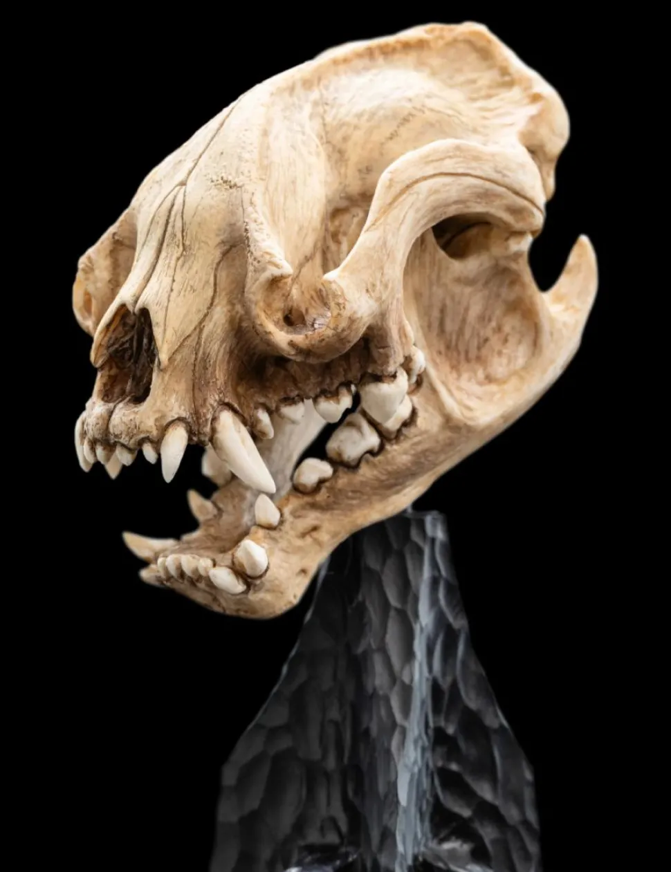 The Lord of the Rings - Skull of a Warg 8" Scaled Replica Statue