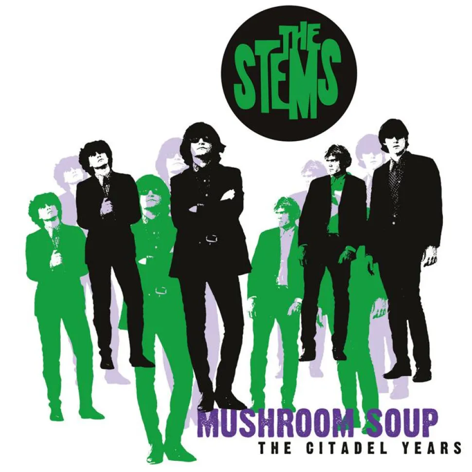 The Stems - Mushroom Soup LP Vinyl Record