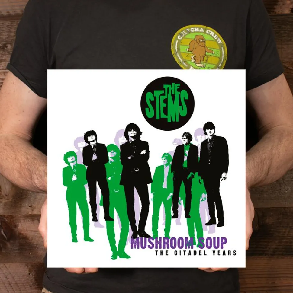 The Stems - Mushroom Soup LP Vinyl Record