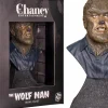 The Wolf Man (1941) - Wolf Man 1/6th Scale Mini Bust