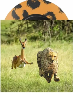 Thundercat & Tame Impala - No More Lies 7" Single Vinyl Record (Leopard Print Vinyl)