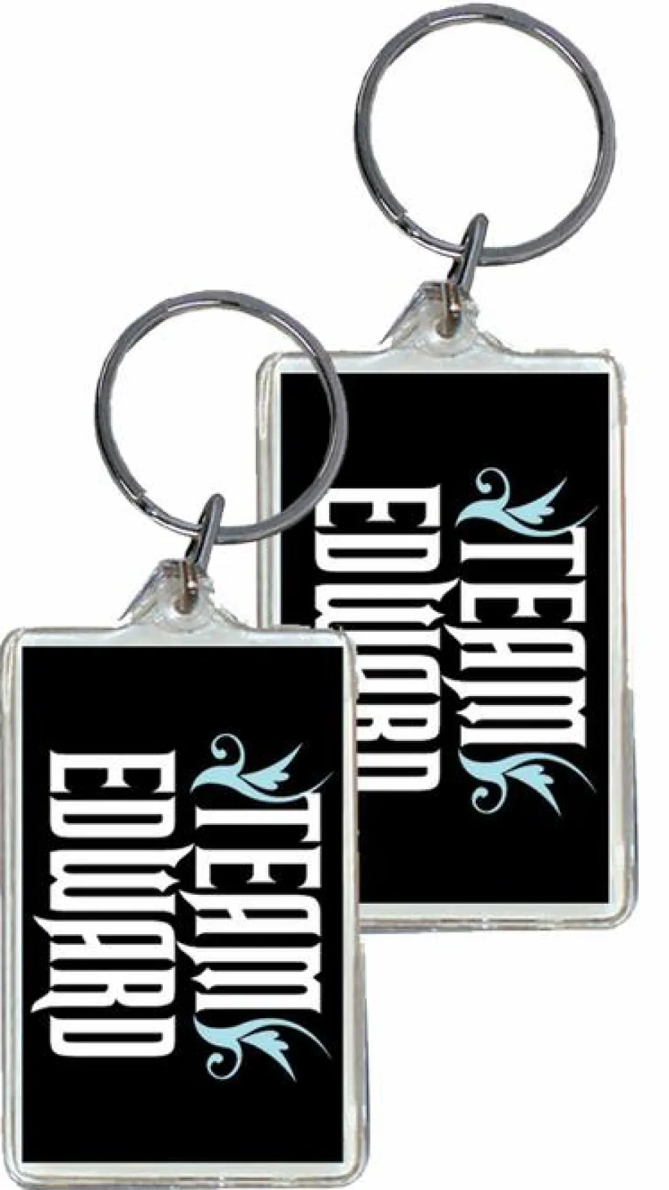 Twilight Saga: Lucite Keychain D - Team Edward