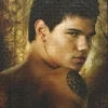 Twilight Saga: New Moon - Jacob Black Jigsaw Puzzle