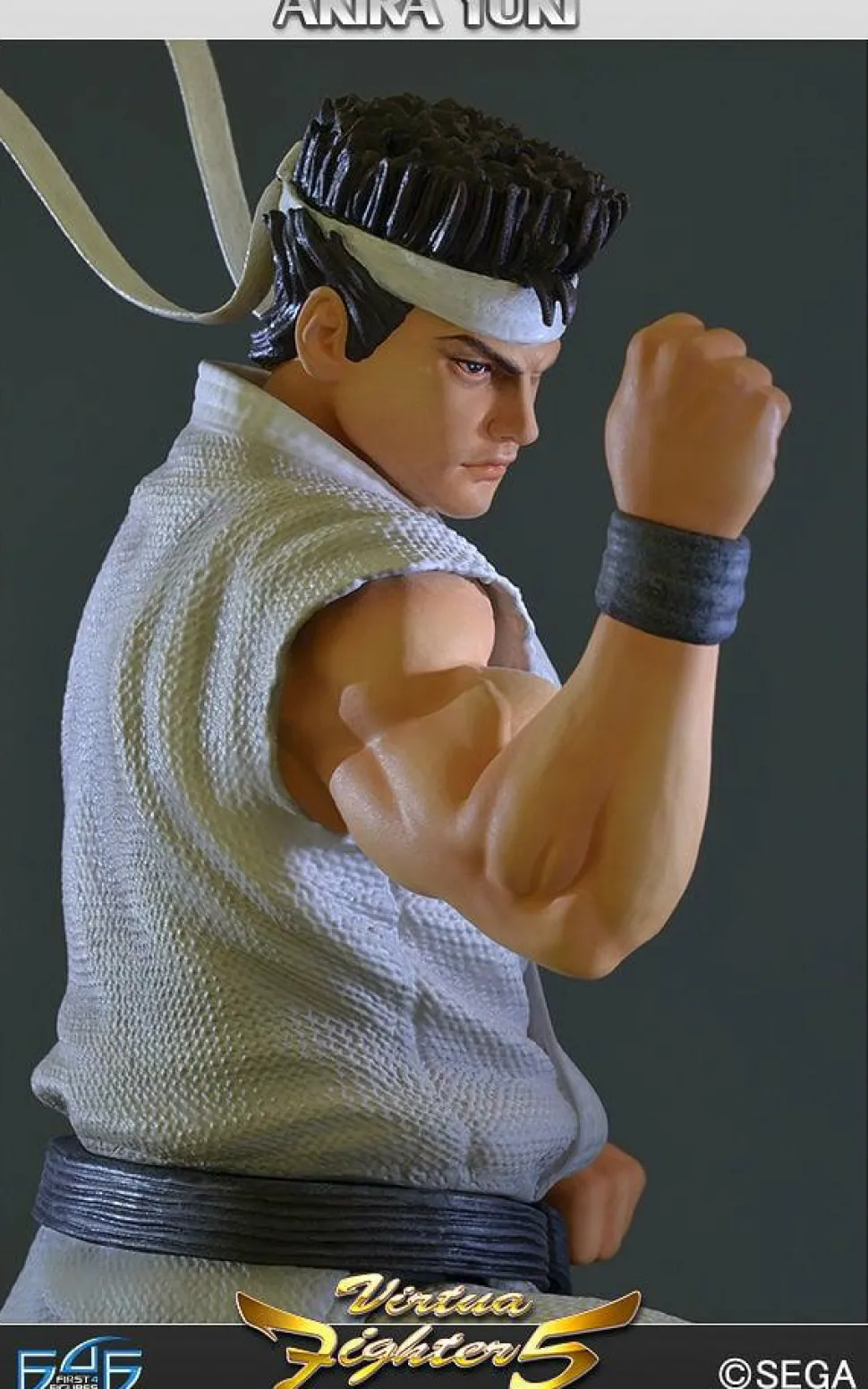 Virtua Fighter - Virtua Fighter 5 - Akira Yuki Sega All Stars 11" Statue