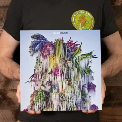 Wilco - Cousin LP Vinyl Record