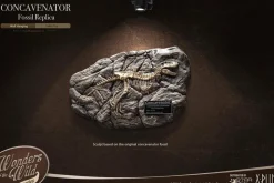 Wonders of the Wild - Concavenator & Fossil Deluxe 10” Statue