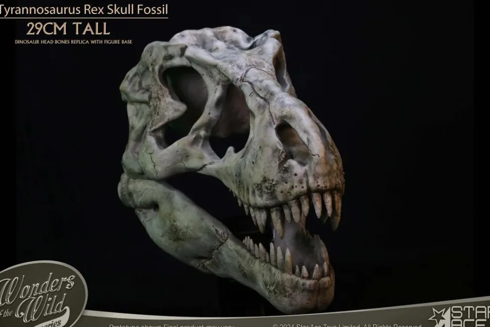 Wonders of the Wild - Tyrannosaurus Rex Skull Fossil 11" Scaled Replica Statue