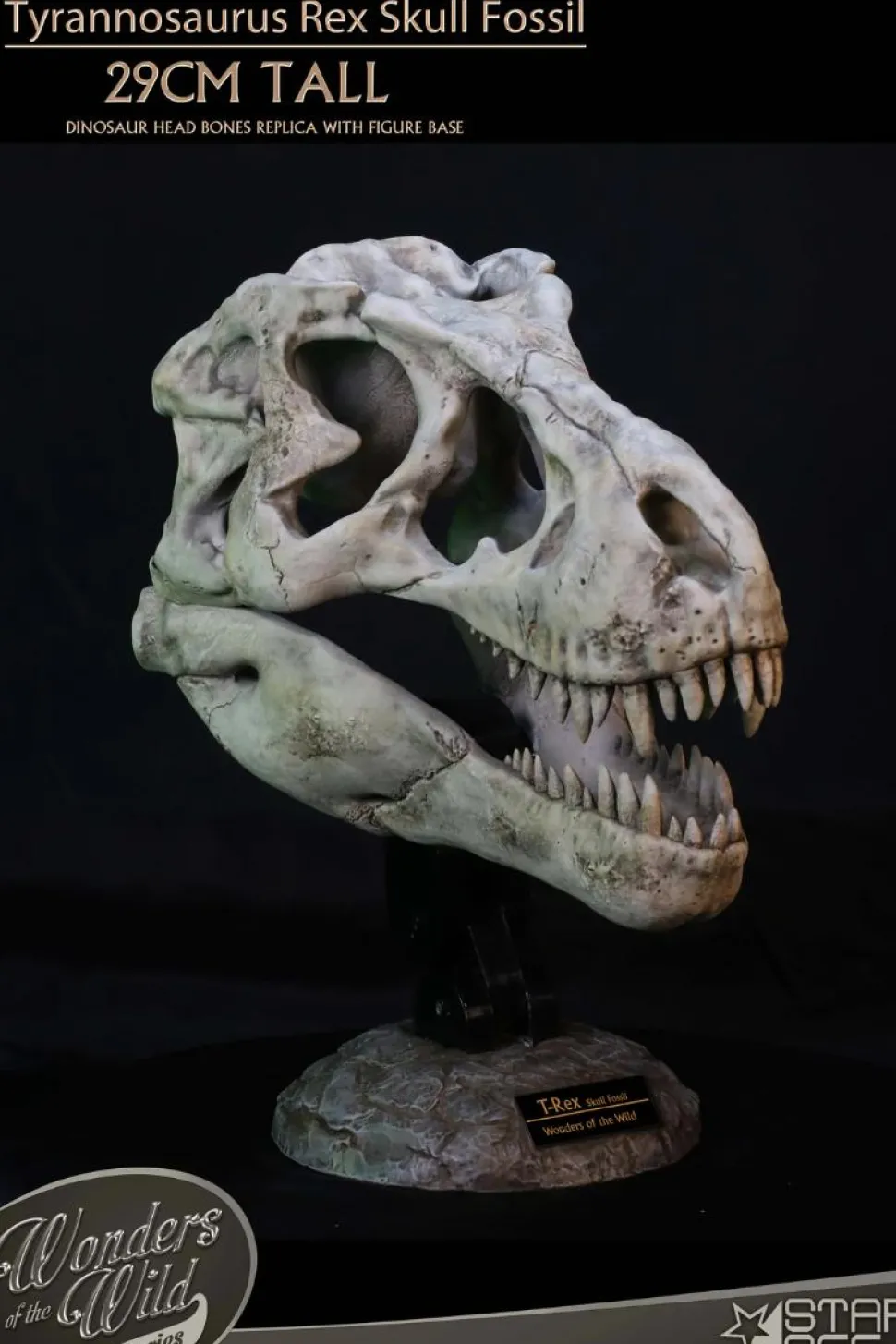 Wonders of the Wild - Tyrannosaurus Rex Skull Fossil 11" Scaled Replica Statue